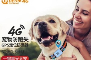 防止小狗跑丢的有效方法（如何确保小狗的安全与幸福）