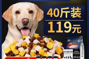 拉布拉多犬毛发护理大揭秘（以宠物为主，教你如何喂养拉布拉多）