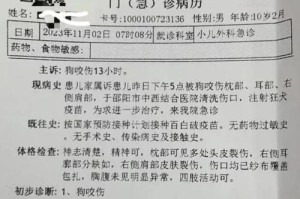小狗为什么会咬人？（探究小狗咬人的原因与解决方法）
