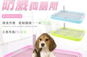 训练你的泰迪犬顺利排便（以宠物为主，详解15个实用方法，让你的泰迪犬健康排便）