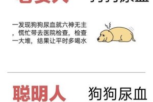 宠物狗尿血的原因及处理方法（了解宠物狗尿血的常见原因，保护你的宠物狗健康）