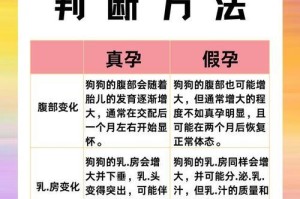 狗狗怀孕周期及生产时间（了解狗狗的怀孕周期，为它们顺利生产做好准备）