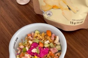 25天的小狗的饮食需求（如何为你的小狗提供健康的饮食）