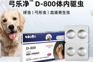 猫体内常见寄生虫及防治方法（详解猫身体内常见寄生虫及有效预防措施）