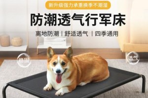 养狗家庭的必备物品（为你的爱犬做好准备）