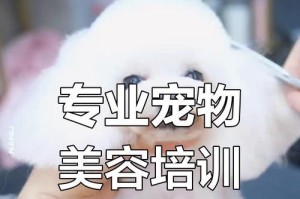 宠物美容师的必备素养（培养宠物美容师所需的专业技能和人际交往能力）