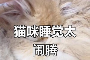 幼猫的睡眠习惯揭秘（探索幼猫一天中的睡眠时长和原因）