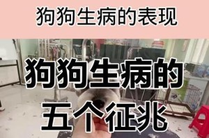 狗狗传染病与人类健康（了解传染病预防，共同构建健康环境）