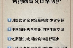 狗狗肠胃炎治疗全攻略（宠物健康，重要当头！——针对肠胃炎的预防和治疗）