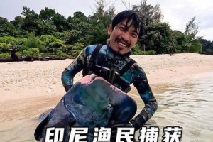 蓝头鹦哥的饲养方法（如何让蓝头鹦哥健康快乐地生活？）