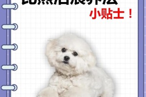 小比熊接种疫苗的最佳时间（了解小比熊疫苗接种时间表）