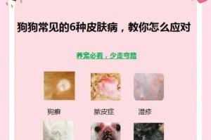 狗身上的皮癣该用什么药膏治疗？（探寻最有效的治疗方法，让狗狗重获健康）