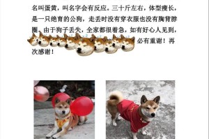 狗为什么会丢失？（追寻丢失宠物背后的种种原因）