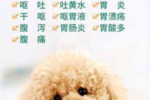 治疗狗狗胃炎的药物及建议（了解常用药物和饮食调节，）