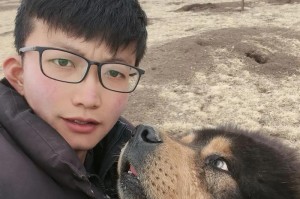 原生藏獒的杂交品种及特征研究（探寻原生藏獒与其他品种的杂交结果及特点）