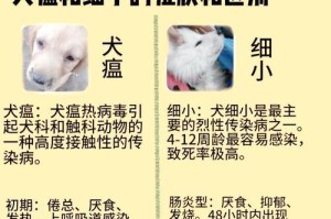 狗狗细小后遗症（了解细小后遗症，保护你的爱犬健康）