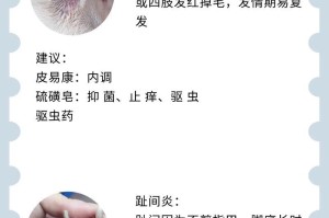 小狗的常见病症与防治（解析小狗的健康困扰，宠物主人必读）
