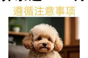 泰迪犬的怀孕周期及繁殖特点（探究泰迪犬的繁殖周期和繁殖过程中的注意事项）