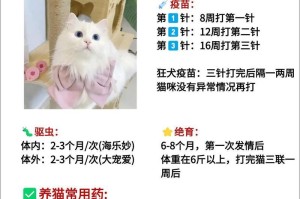 新手养猫必备攻略（准备养猫前必须知道的15项事项）