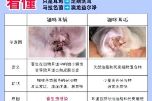猫耳螨的治疗过程及时间（了解耳螨症状和治疗方法，耐心维持治疗可望康复）