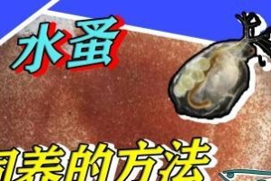 以棕箒尾鷦鶯的饲养方法（以宠物为主，做个负责任的主人）