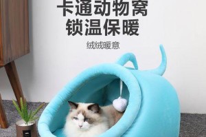 如何给小猫保暖？（宠物照顾指南）