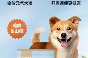 养一只狗狗的开销有多大？（狗狗品种与开销的关系）