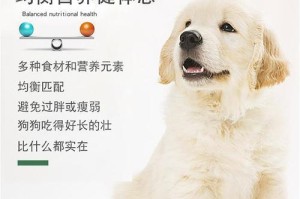 灰泰迪三至四个月应该选择什么狗粮？（为您的灰泰迪宝宝选择合适的狗粮，让它健康成长！）