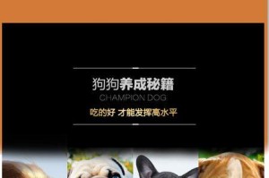 以法牛带仔喂什么好？（提升牛仔生长发育的饲料选择）